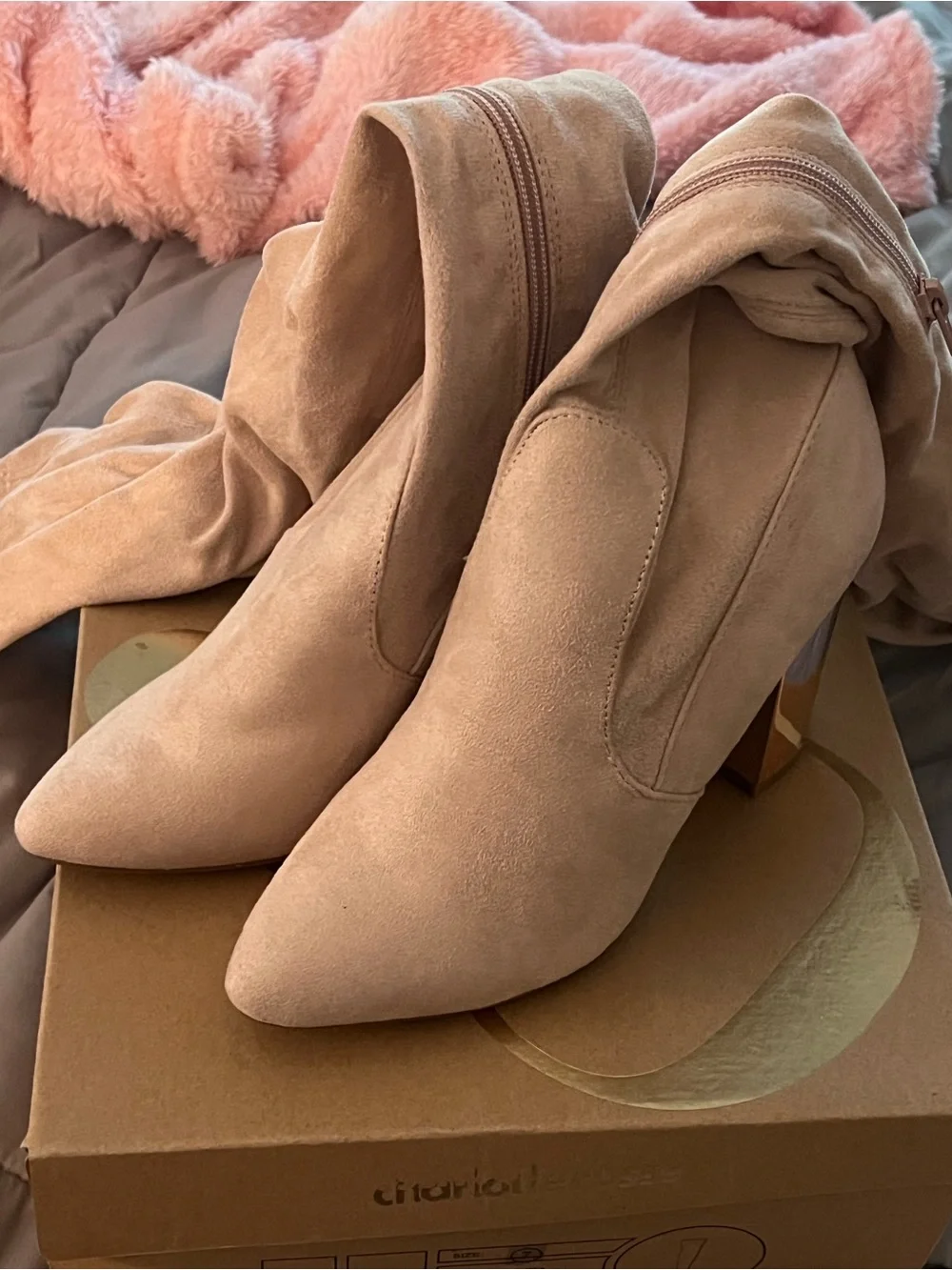 Charlotte Russe Blush Over-the-Knee Pointed Toe Block Heel Boots